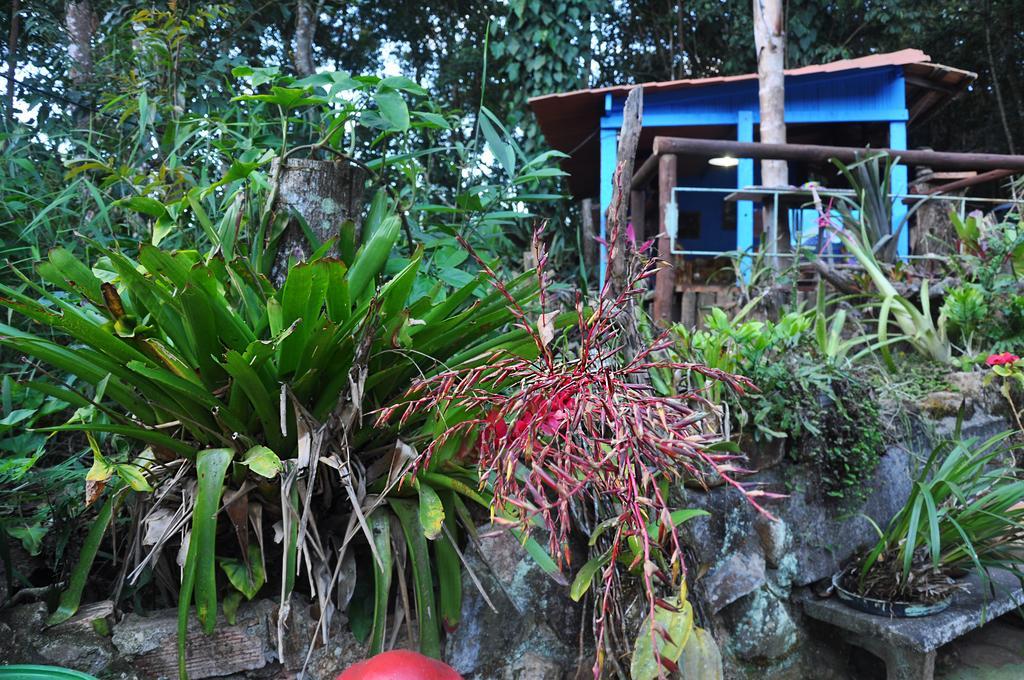 Pousada Ecologica Lua Bonita Do Nero Macacos  Buitenkant foto